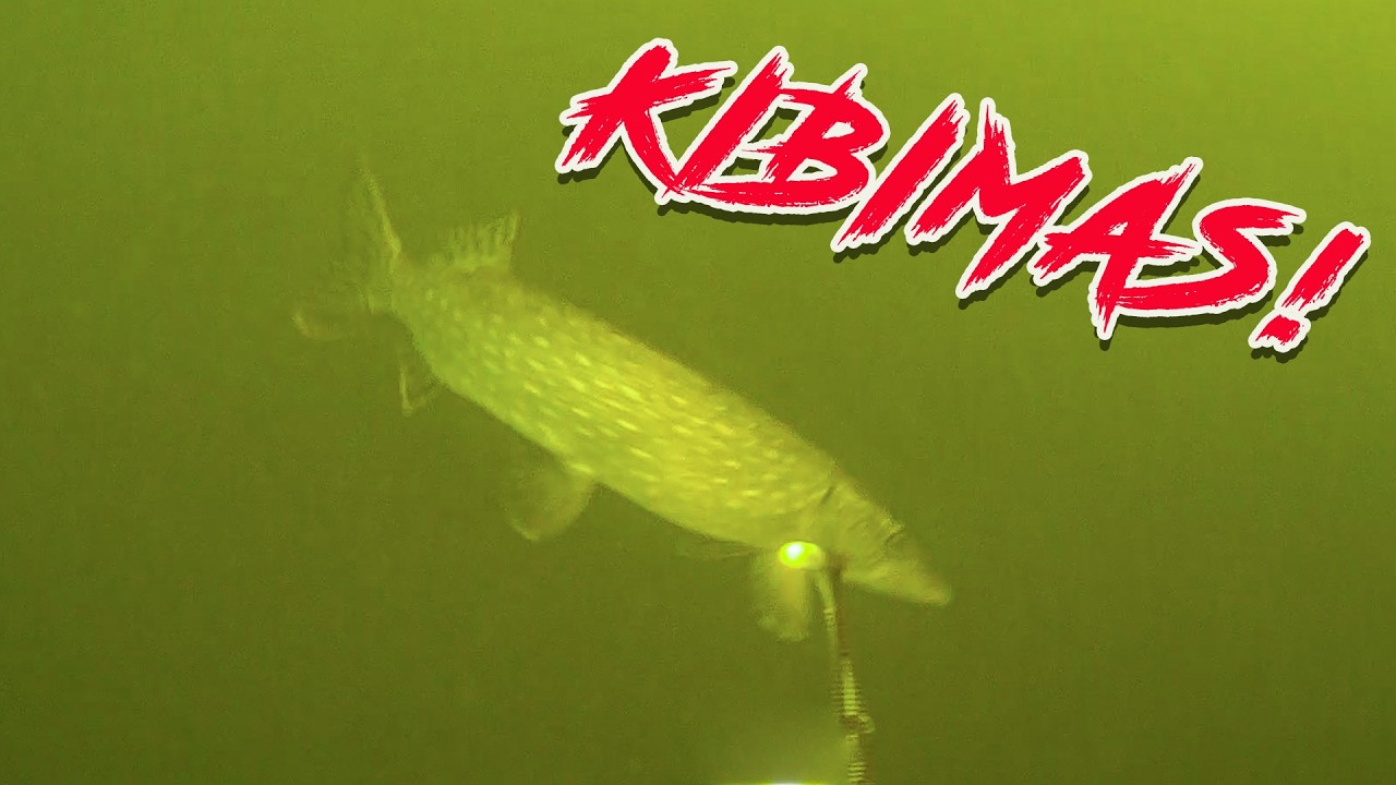 Nufilmavau lydekos kibimą po vandeniu! Ir pagaliau ištestavau guminę valtį su GPS varikliu.