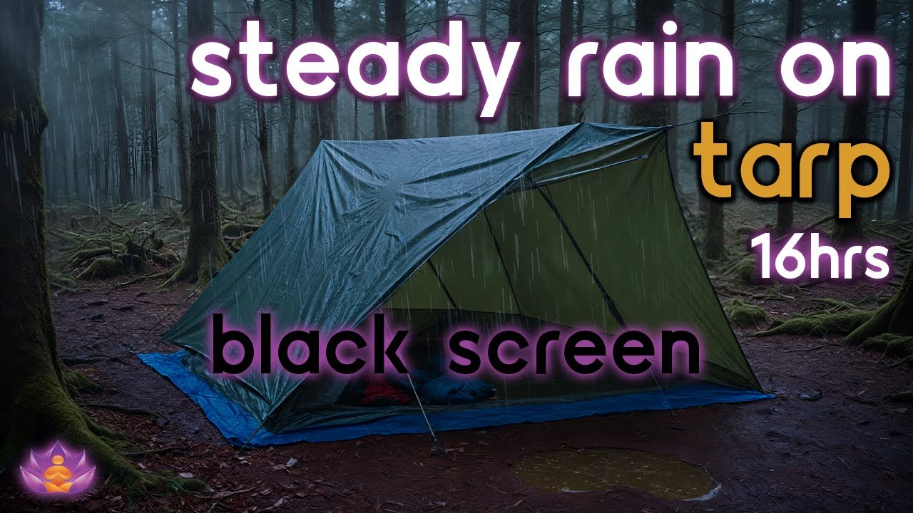 [Black Screen] Steady Rain on Tarp No Thunder | Rain Ambience | Rain Sounds for Sleeping