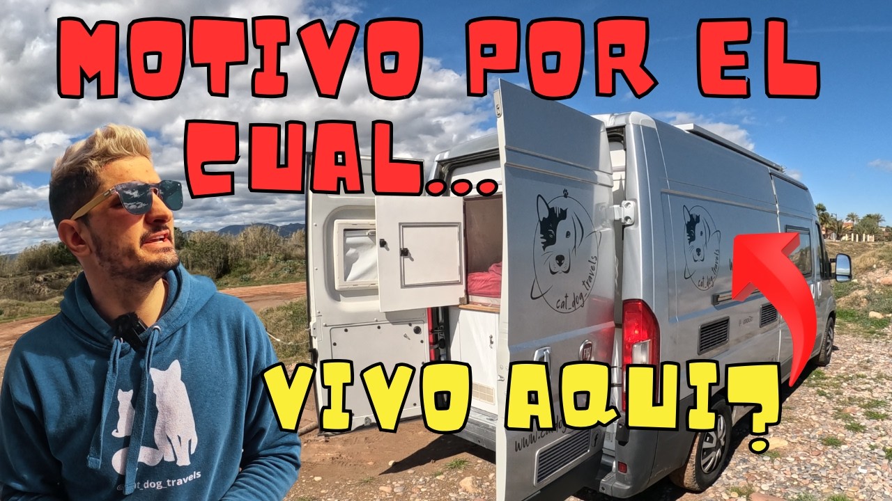 Vivir en una furgo🚌4 años de libertad!