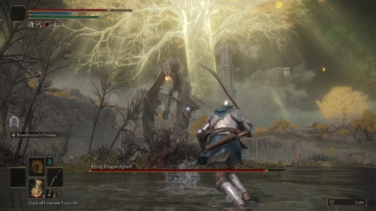 Ambushed by a Dragon in ELDEN RING