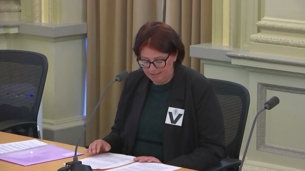 HAAG giving evidence at the Inquiry into the redevelopment of Melbourne’s public housing towers