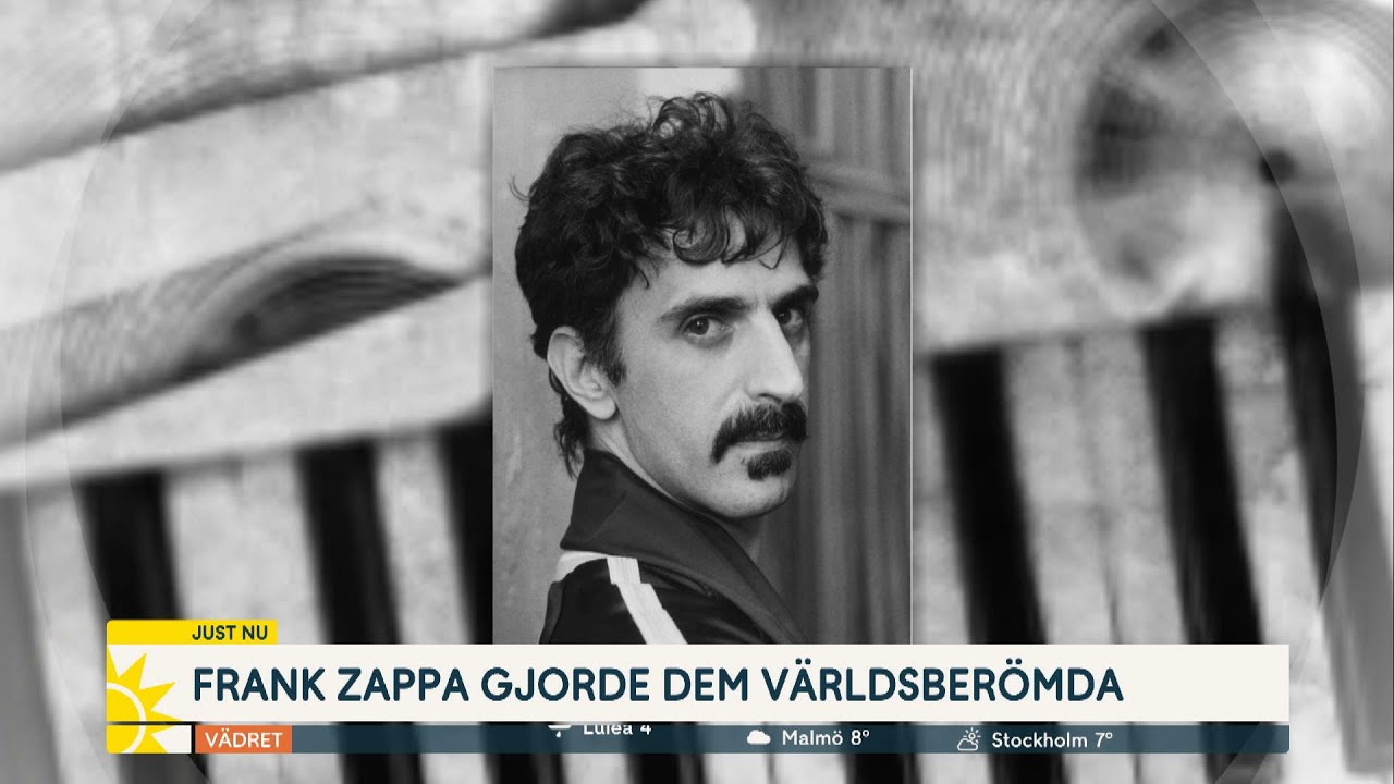 Mats och Morgan om mötet med Frank Zappa: ”Han var tidigt vår idol” | Nyhetsmorgon | TV4 & TV4 Play