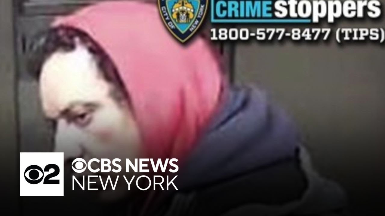 Person of interest in custody in NYC subway shove incident