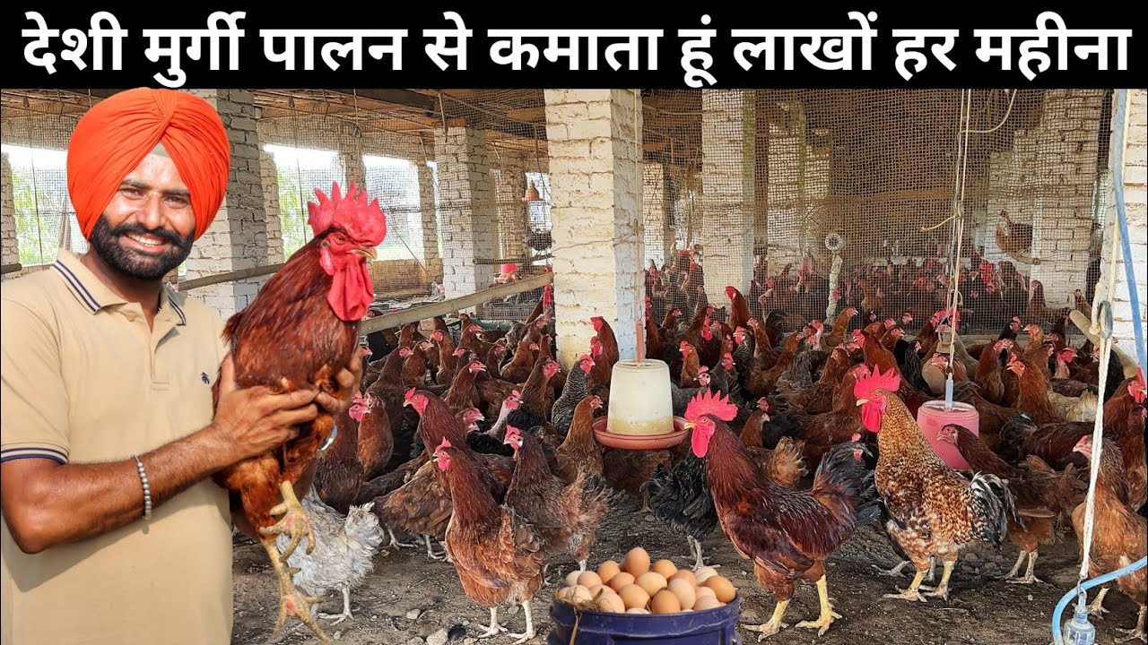 सरदार जी का 2 एकड़ में बना करोड़ों का Desi Murgi Farm | Desi Poultry Farm Business Plan