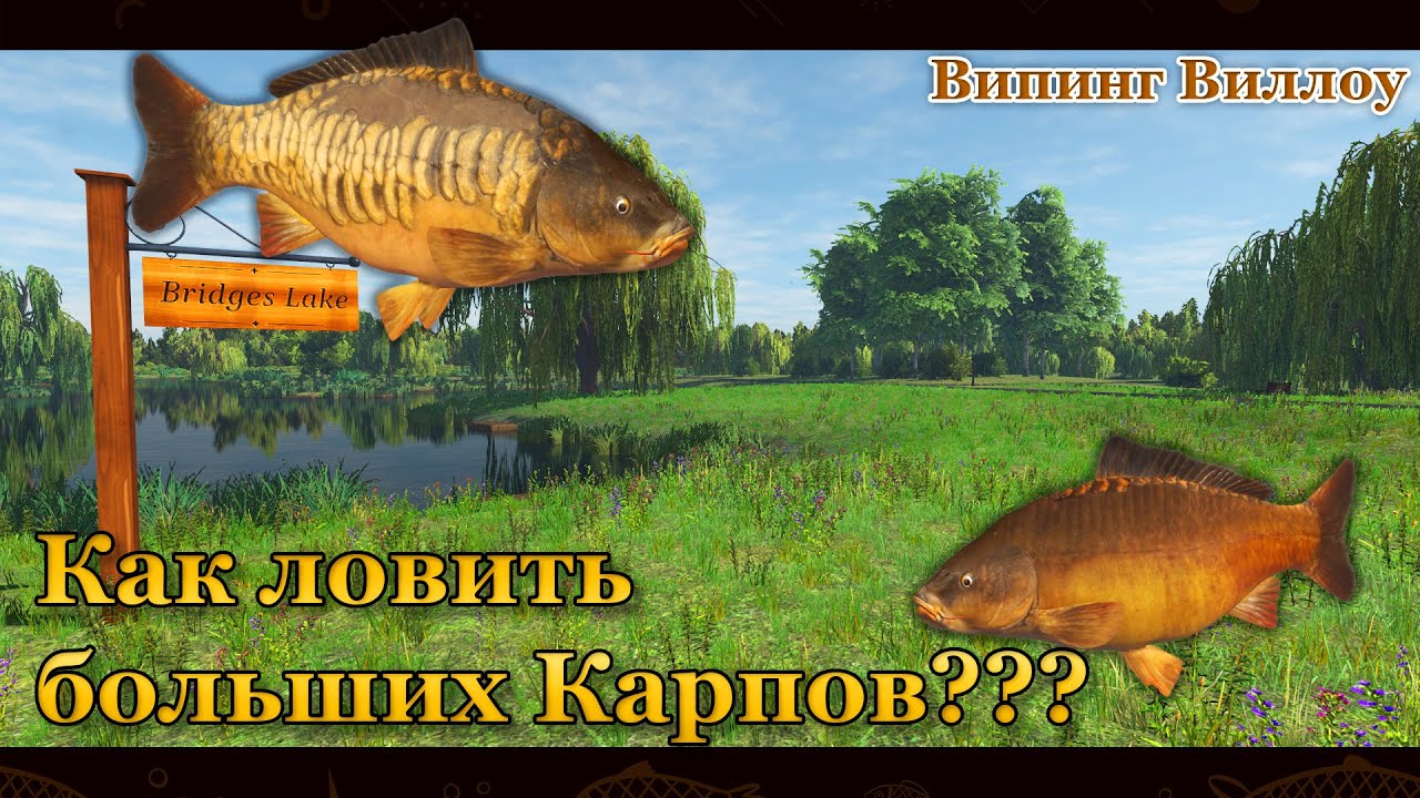 Fishing Planet. Как ловить больших карпов. Big Carp. (Випинг Виллоу / Weeping Willow)