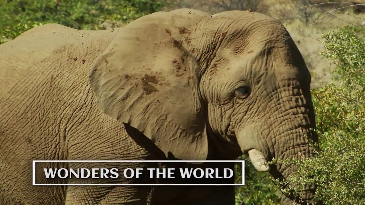 VILLAGE MONDE - Discover the world!