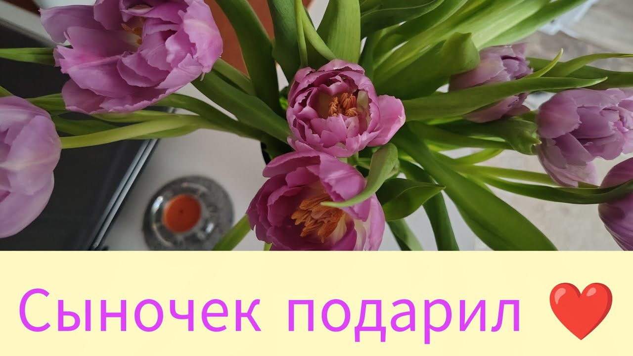 Эстония и жизнь безработных.Болтаю, вспоминаю.