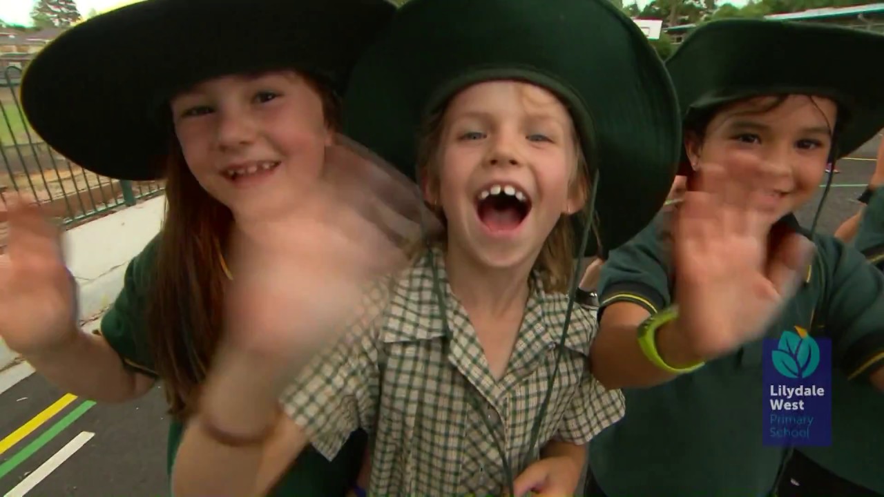 Positive Behaviour Support (PBS) at Lilydale West Primary School