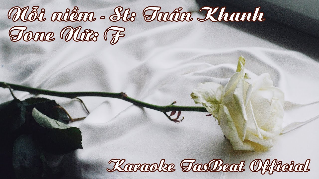 Karaoke Nỗi Niềm Tone Nữ | TAS BEAT
