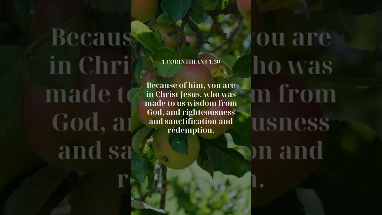 Find Encouragement from 1 Corinthians 1:30 #verseoftheday