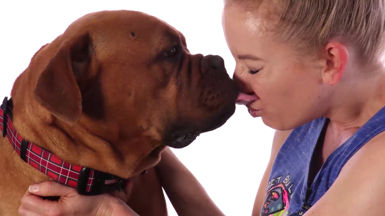 Adopt Vanessa at NKLA