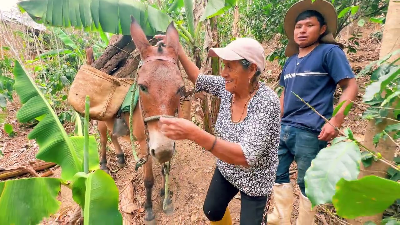 Salí a ver leña en la mula con mi abuelita Olga para hacer la merienda