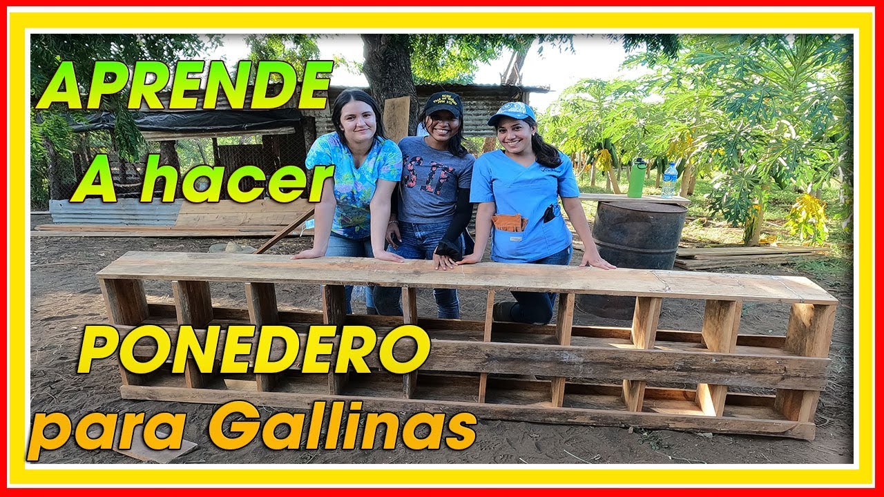 Aprende a HACER un PONEDERO Artesanal para GALLINAS ǀ Ing. Jannin Hernández Blandón MSc