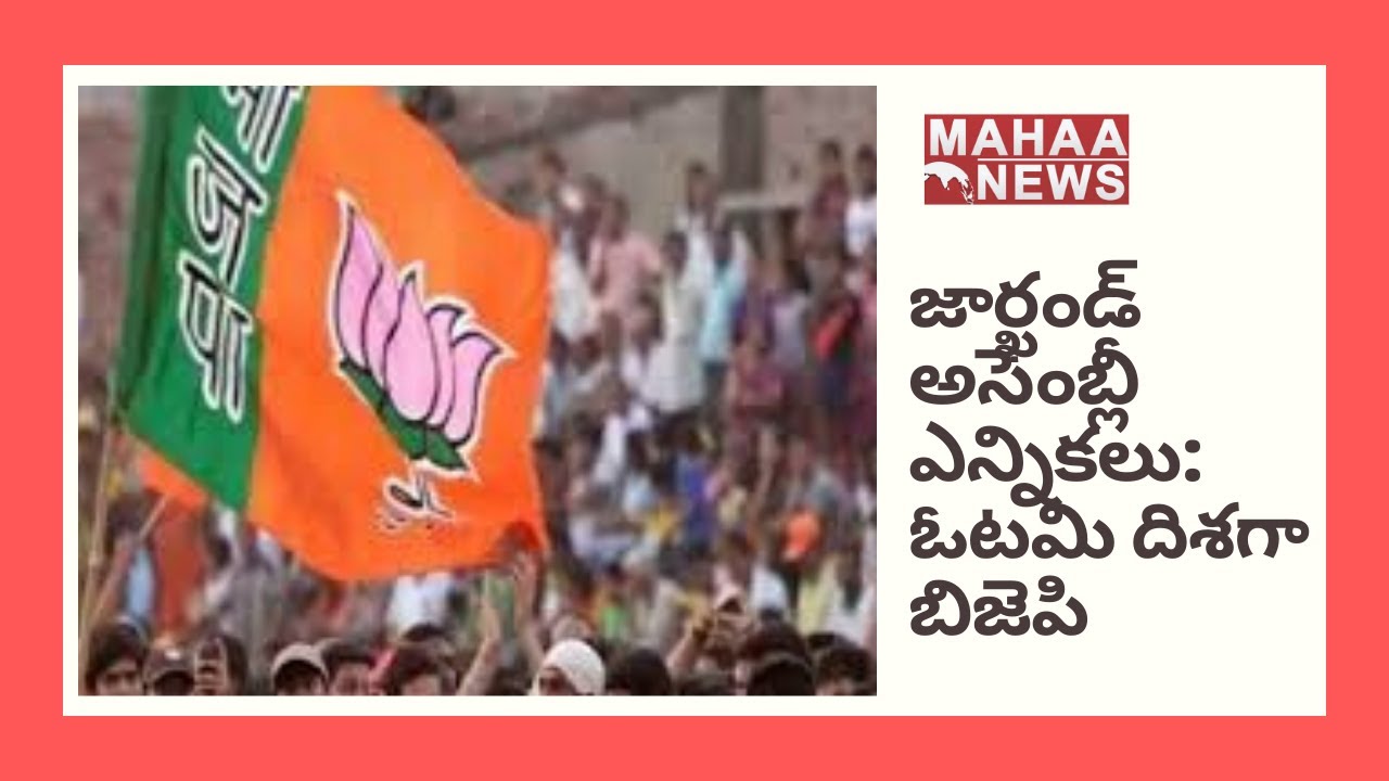 JMM-Congress-RJD alliance in majority, BJP trails in Jharkhand I MAHAA NEWS