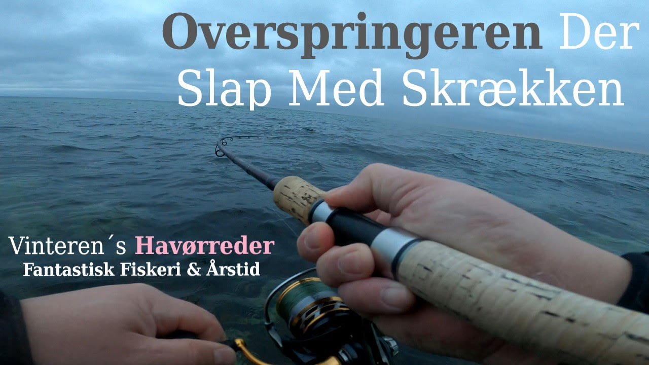 Overspringeren Der Slap Med Skrækken | Vinteren´s Havørreder