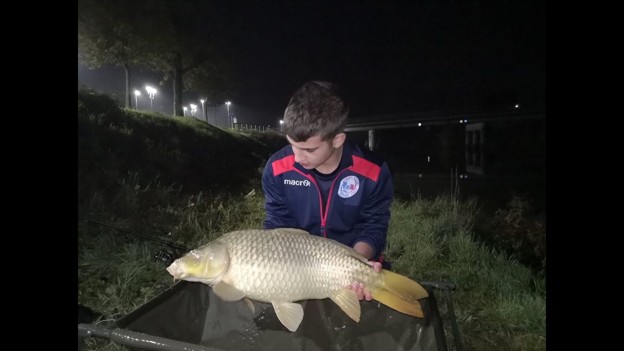 Carpfishing serale in Canal Bianco