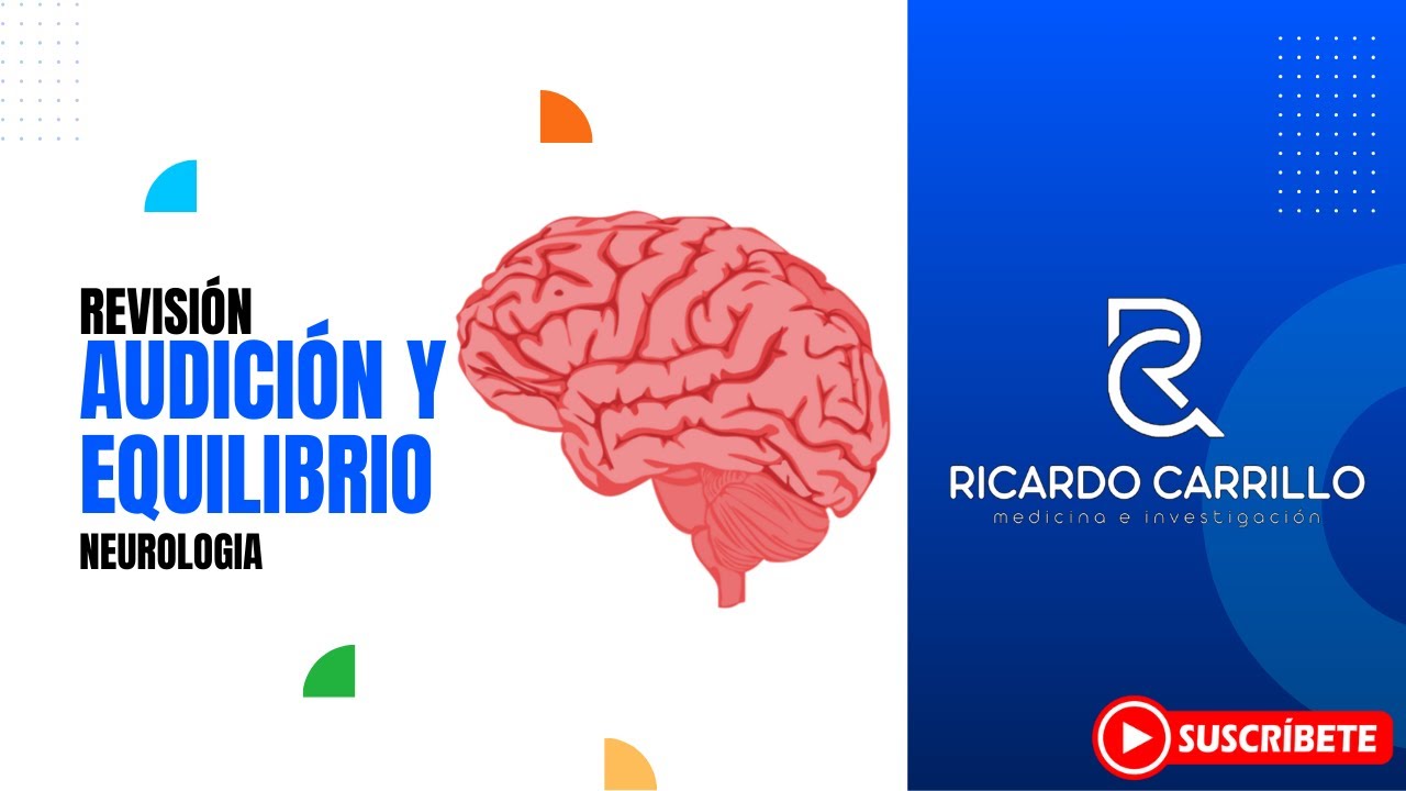 Audición y Equilibrio (Básicas) l Neurología