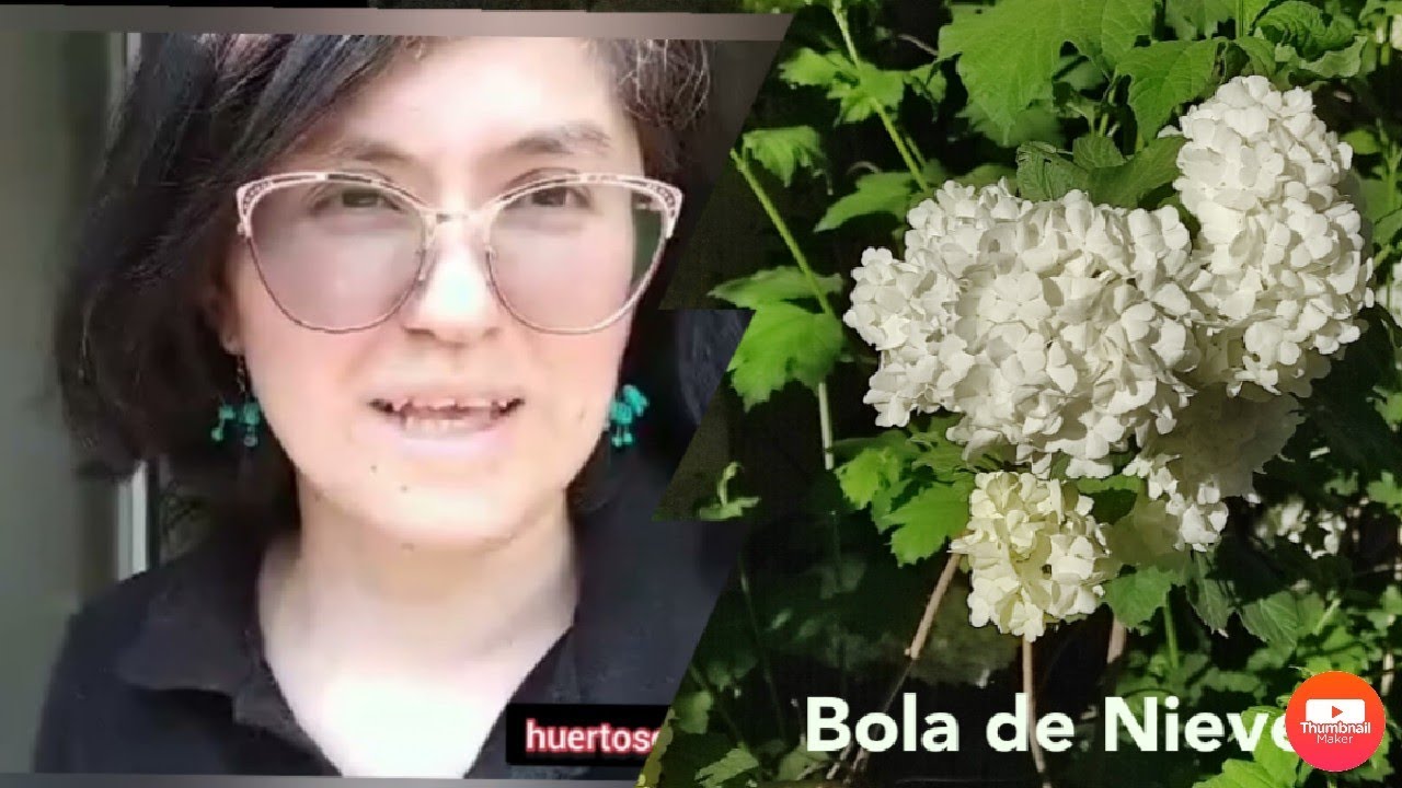 Bola de Nieve y las plantas de  Adri Di Santi