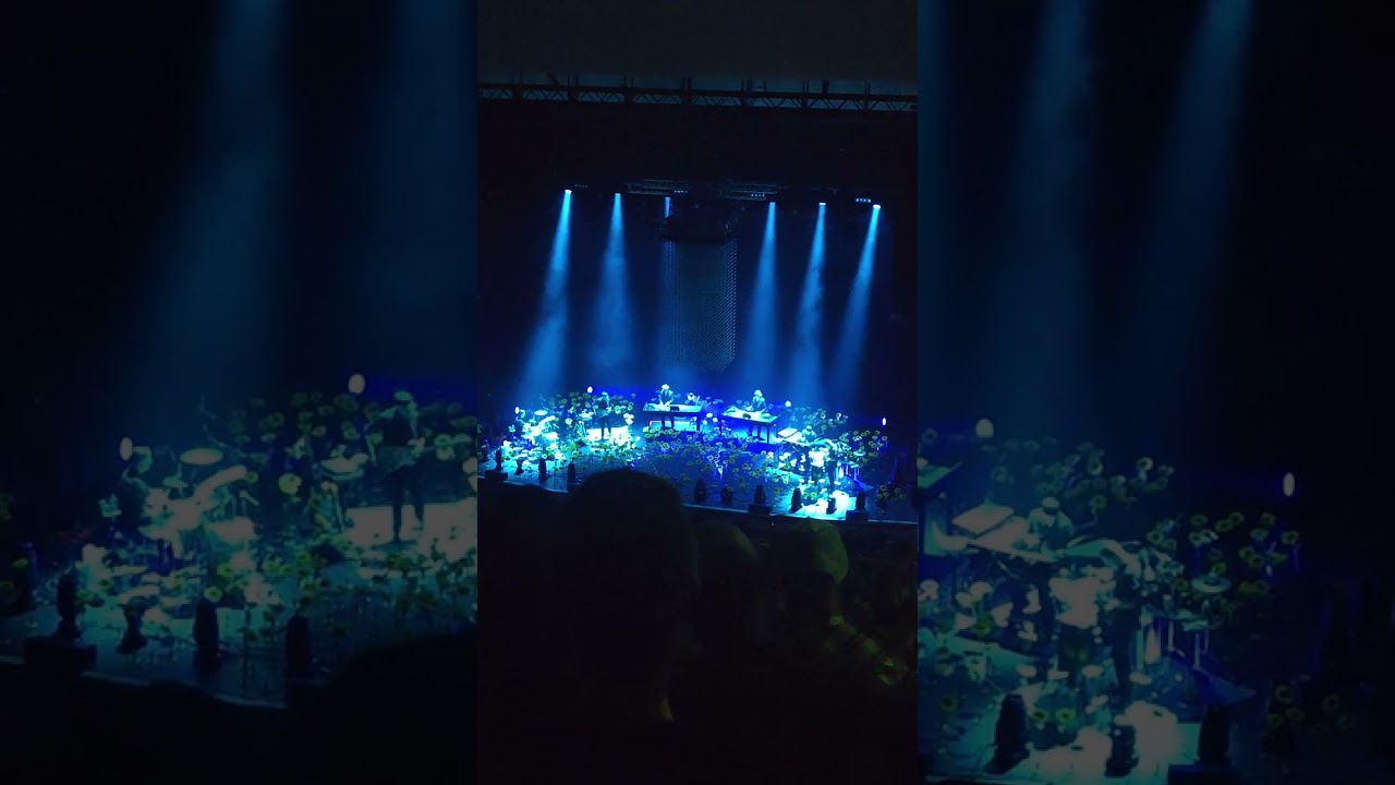 KD sessions Live London 2025-2