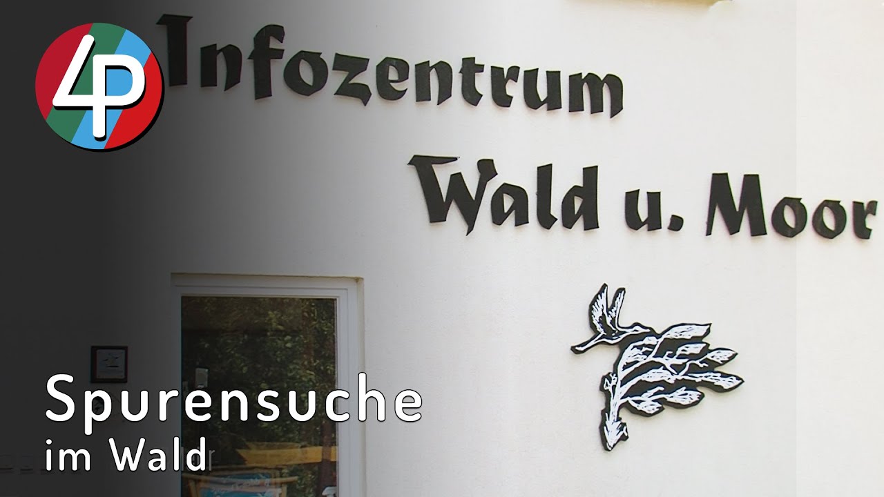Spurensuche im Winterwald | Wald & Moor in Ribnitz-Damgarten