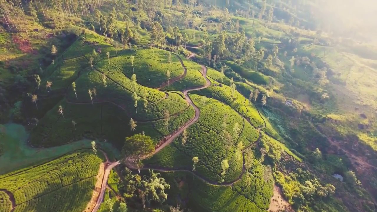 Luxury Living in the Hills - Ceylon Tea Trails