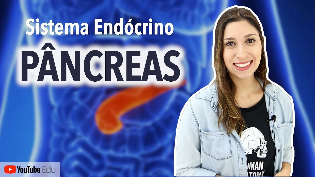 Pâncreas: Sistema Endócrino | Anatomia etc