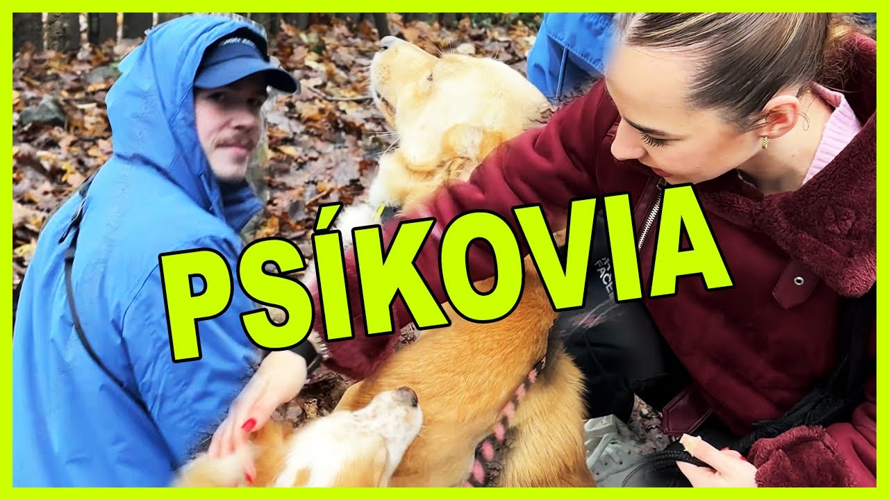 TOTO MUSÍ ZAŽIŤ KAŽDÝ! Psíky z útulku nás úplne dostali