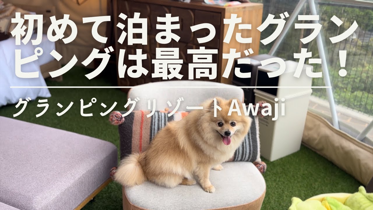 グランピングリゾートAWAJIから見える明石海峡大橋の夜景がとても綺麗でした「田舎暮らしのポメラニアン」