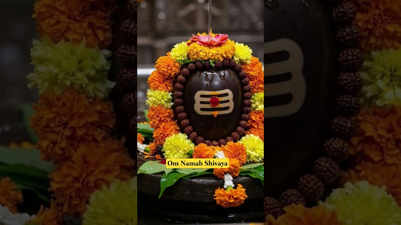 Manjunatha songs Shivratri status #shivaratri #shiva #shivabhakti #shivratri #lordshiva