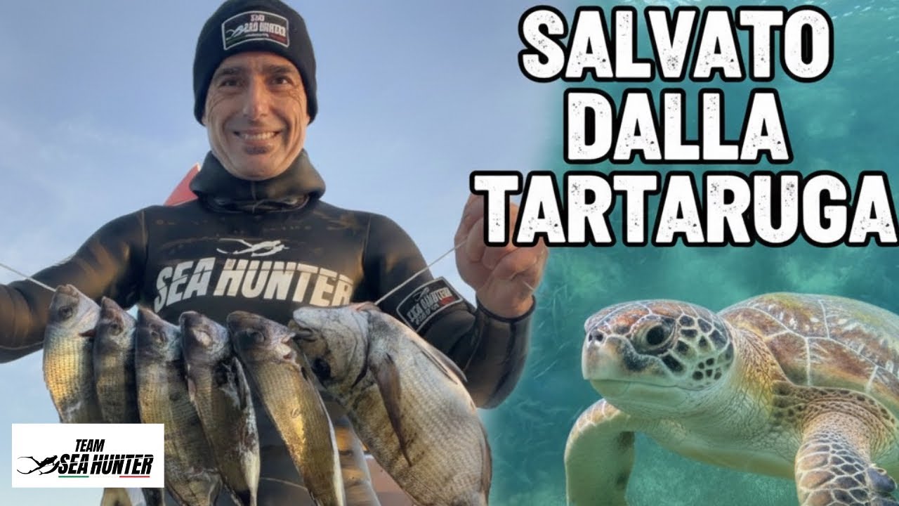 pesca in apnea: salvato dalla tartaruga