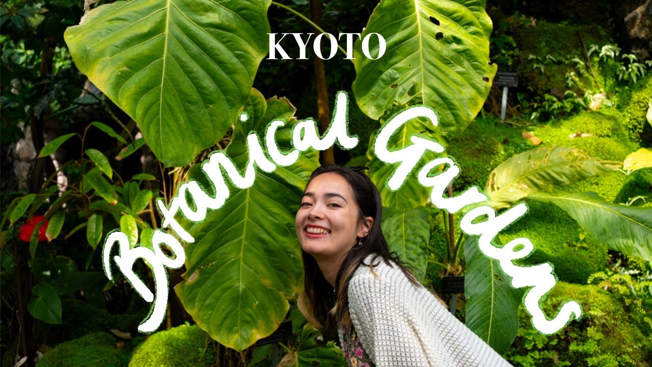 Come and explore Kyoto Botanical Gardens with me | Lunch at Towzen for vegan ramen | JAPAN VLOG 43
