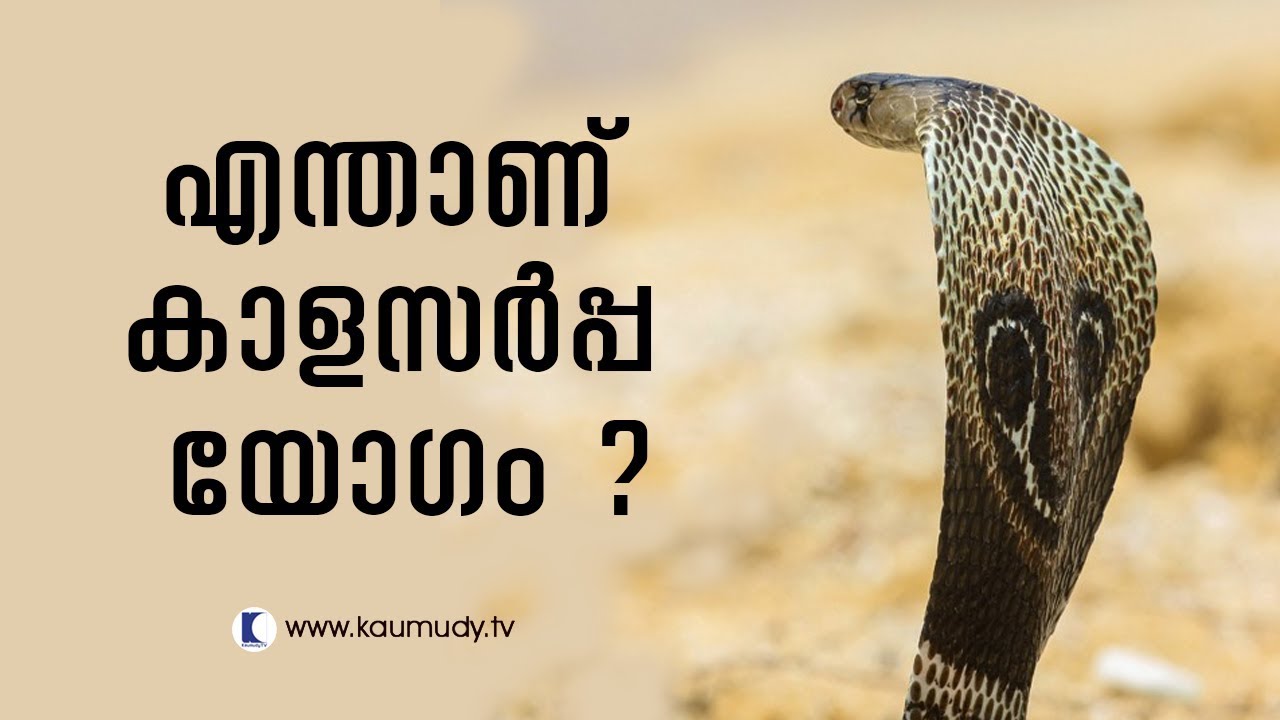 What is Kalasarpayoga? | Pranavam | Ladies hour