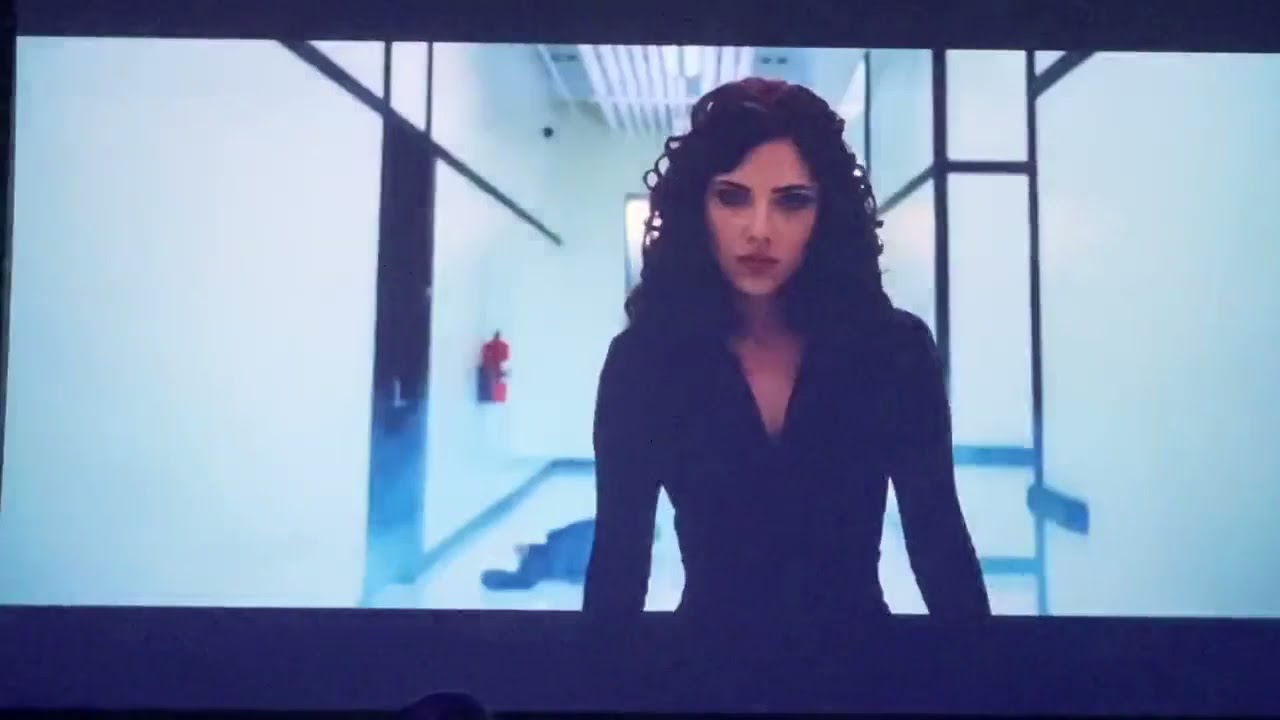 A tribute to Scarlett Johansson as Natasha Romanoff at the 35th Annual Cinematheque Awards