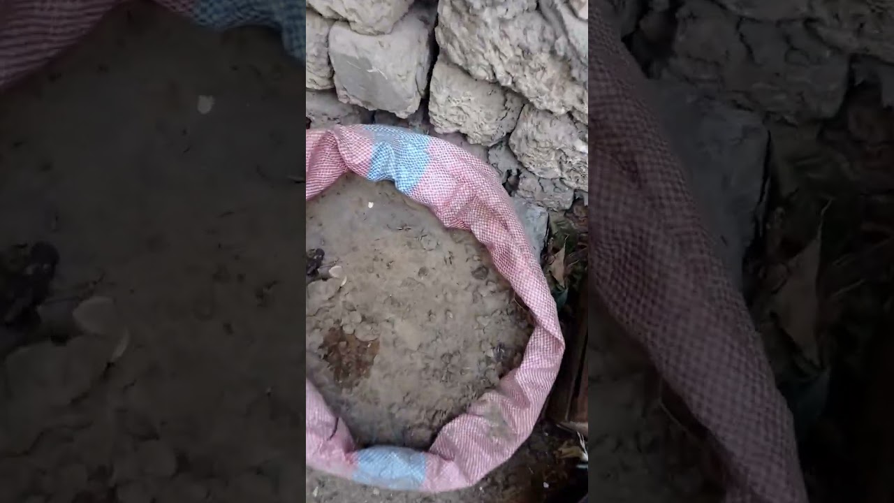 جولتي اليومية في وسط الزرع والجمال 