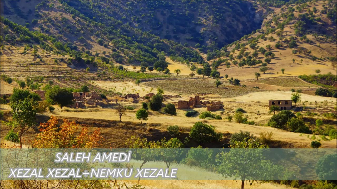 SALEH AMEDİ_XEZAL XEZAL