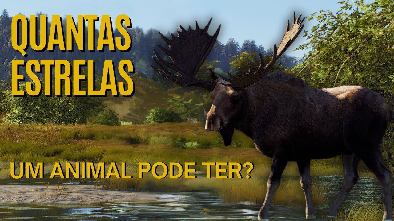 QUANTAS ESTRELAS UM ANIMAL PODE TER EM CADA FASE DA VIDA NO WAY OF THE HUNTER (VOCÊ PRECISA SABER)