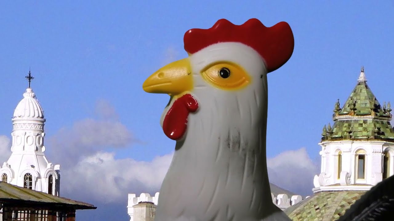 El gallo de la catedral