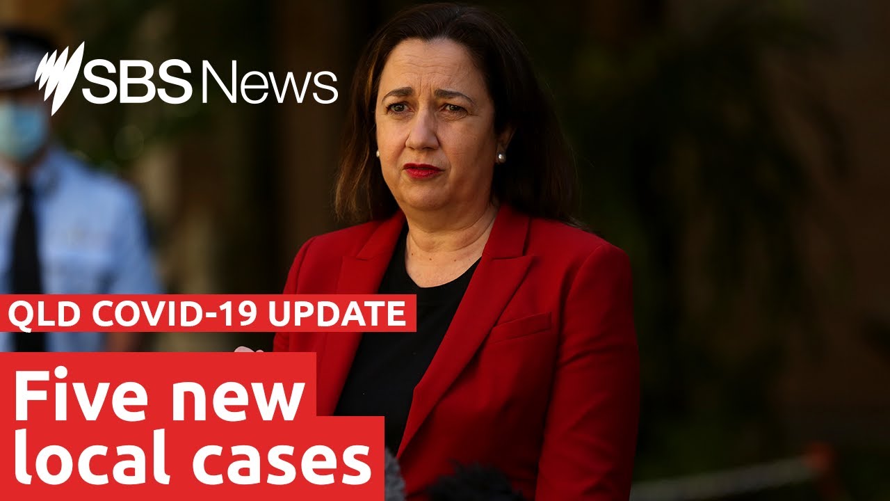 Watch: QLD COVID-19 update | SBS News