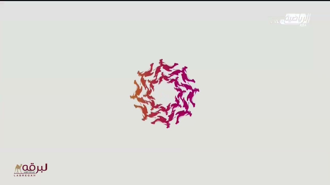 ش4 موفق لـ مانع راشد حمد ال منجم (مهرجان سمو ولي عهد السعودية 3-9-2024م) كأس الحقايق قعدان 2:48:47