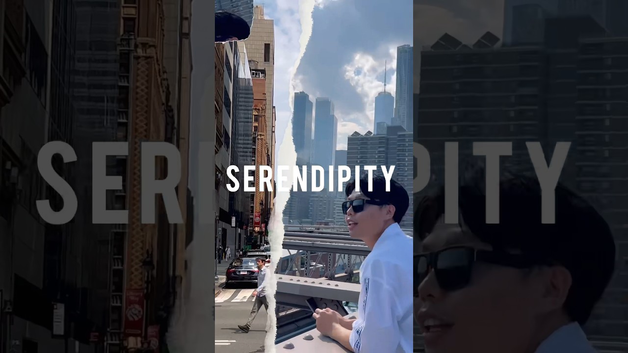 Serendipity 🗽🌉✨ 