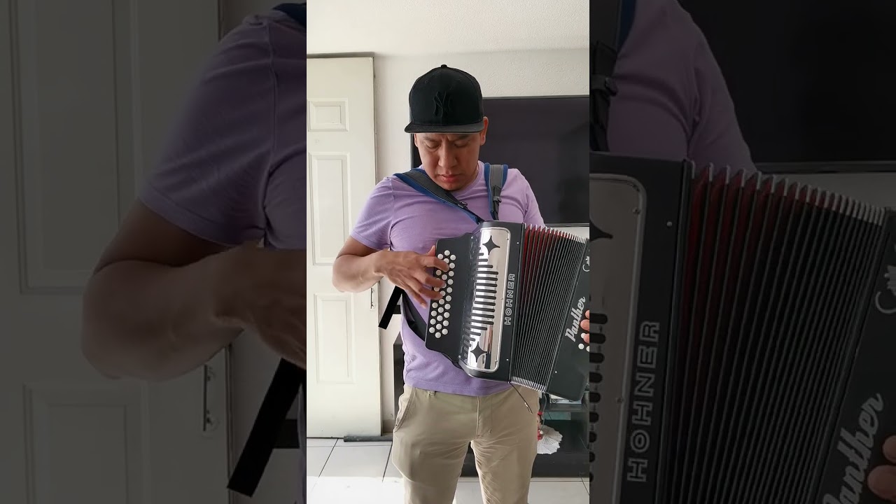Acordeon Hohner panther vs Alacran polverini (sonido) diferencias