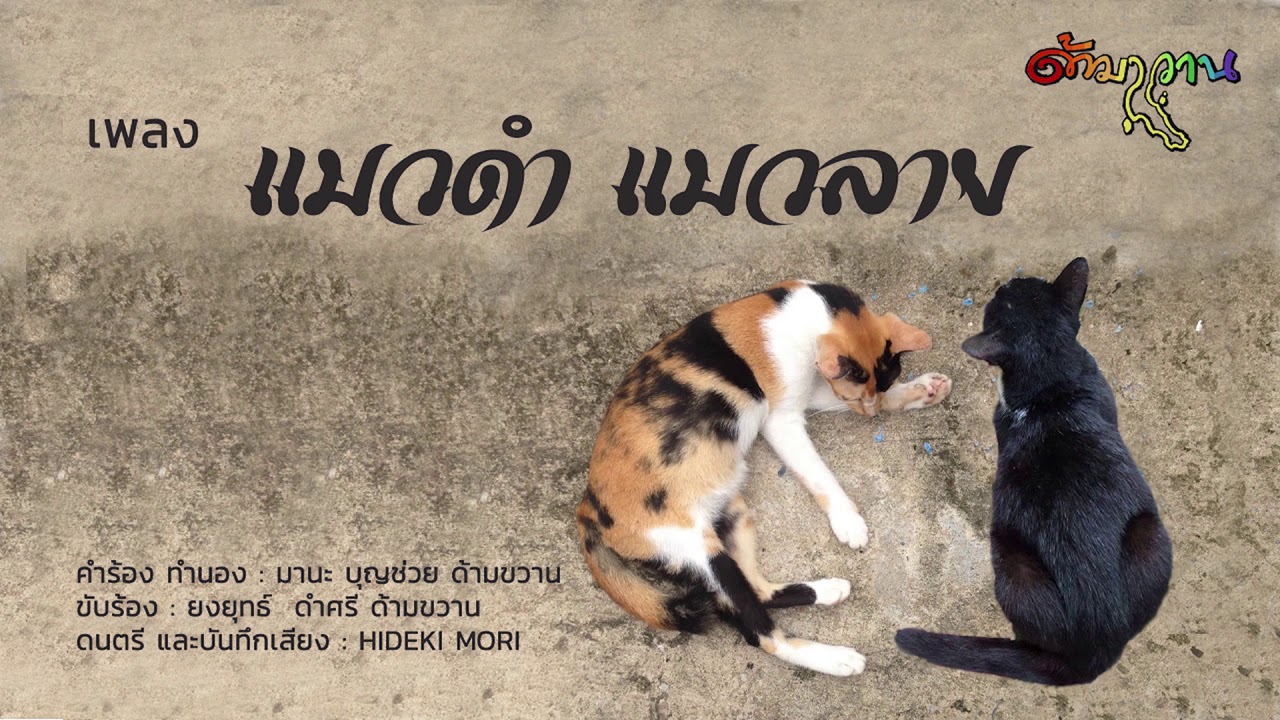 แมวดำ แมวลาย | ยงยุทธ์ ด้ามขวาน