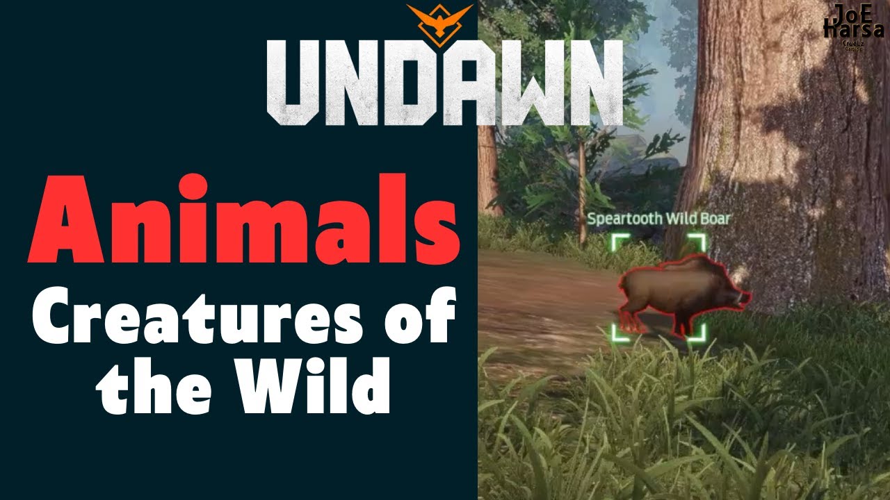 Animals Undawn Creatures of the Wild