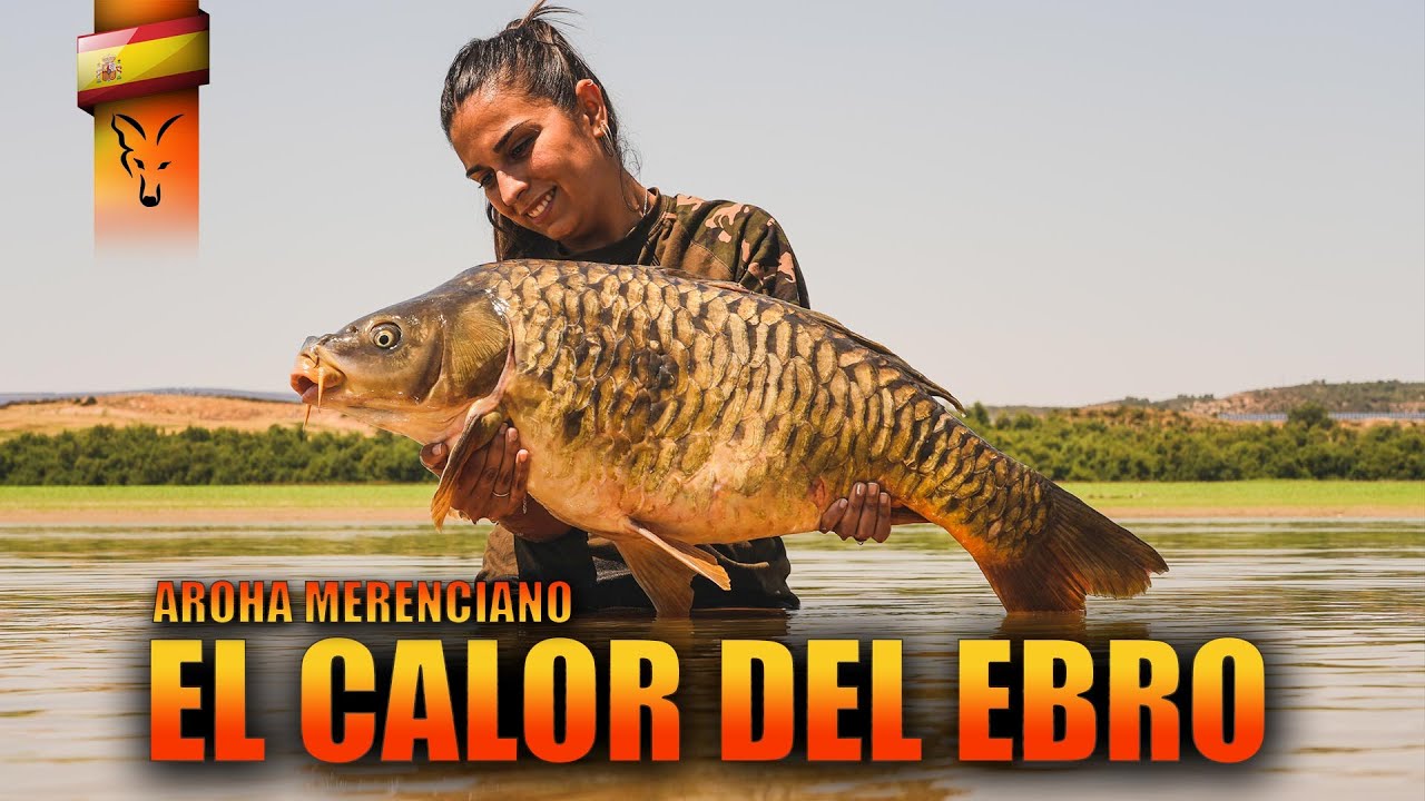 EL CALOR DEL EBRO.  ***CARPFISHING TV***