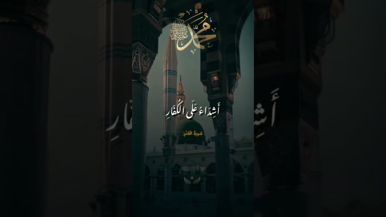 محمد رسول اللہ والذین معہ اشداء | Surah Al-Fath Ayat Tilawat|Heart Touching Quran Recitation