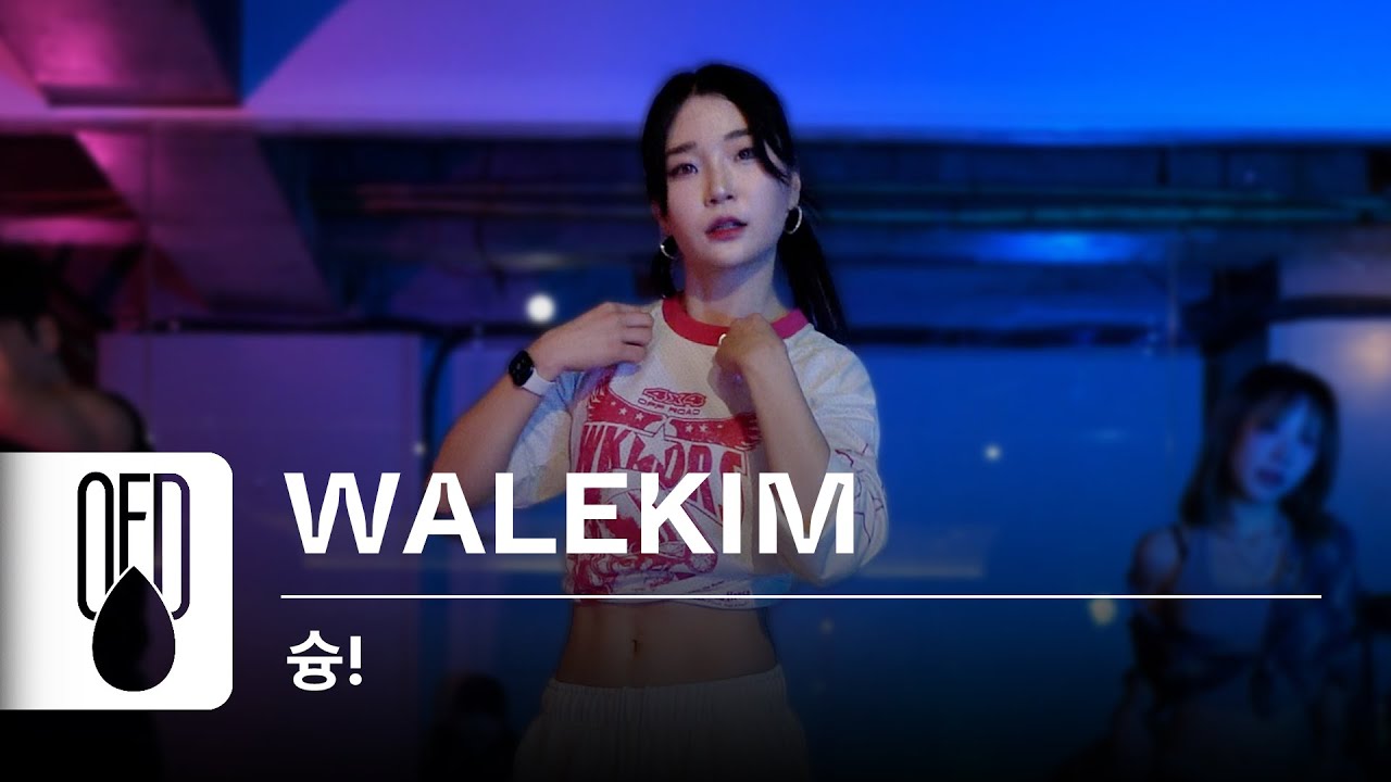 태양 - 슝! (feat. LISA of BLACKPINK) | WALEKIM (Choreography)