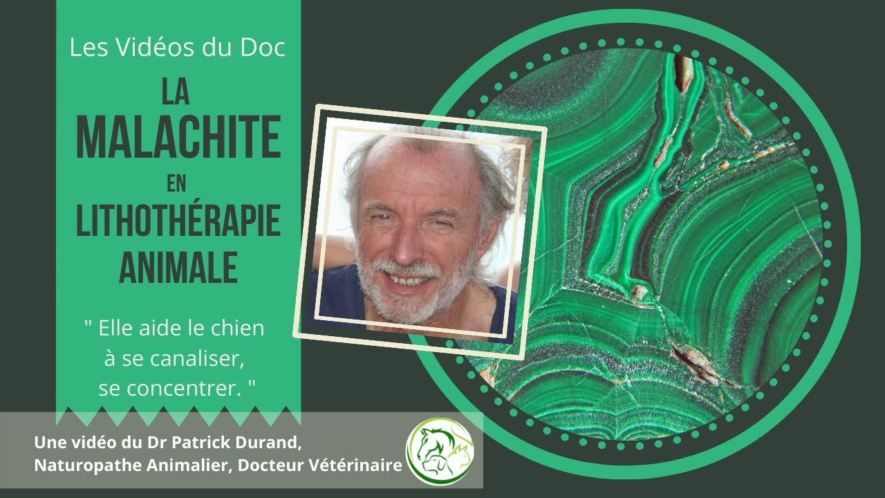 La malachite en naturopathie, la pierre à toujours avoir chez soi