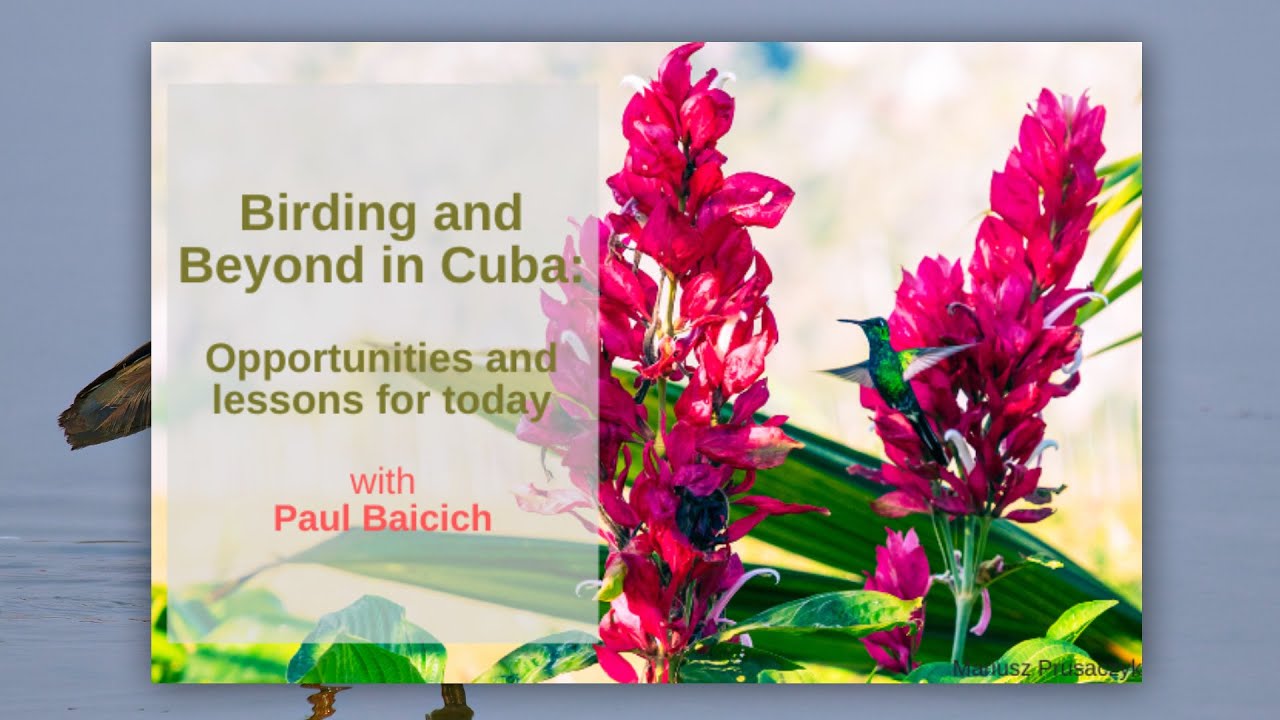 Birding and Beyond in Cuba – Opportunities and Lessons for Today