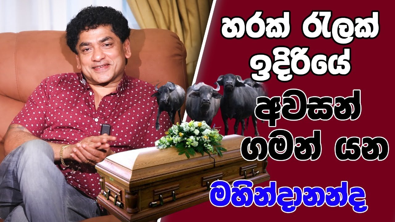 හරක් රැලක් ඉදිරියේ අවසන් ගමන් යන මහින්දානන්ද  | TALK WITH SUDATHTHA |