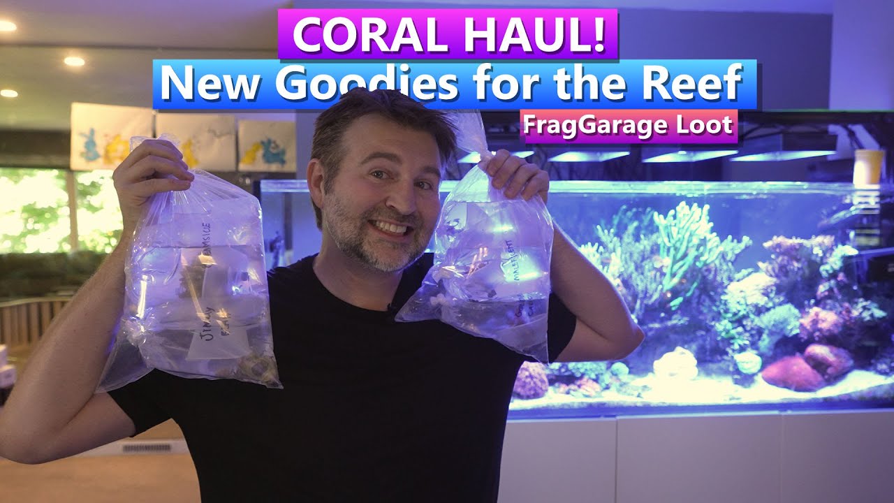 Reef Tank Update - Coral Haul! - FragGarage
